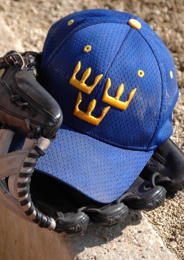 SVENSKA BASEBOLL OCH SOFTBOLL FÖRBUNDETS VERKSAMHETSBERÄTTELSE
