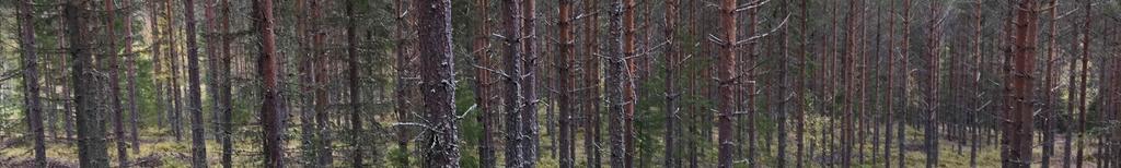 behov av lagstadgade skogsvårdsåtgärder.