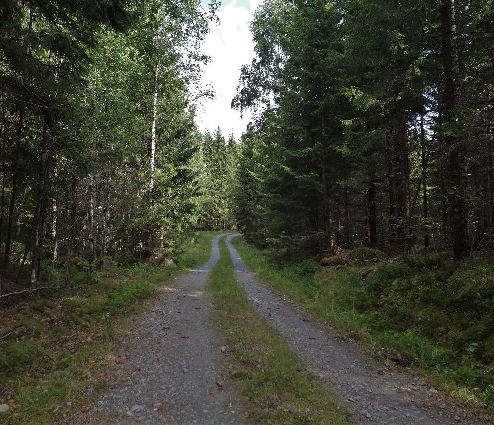 - överst, Björktorp och