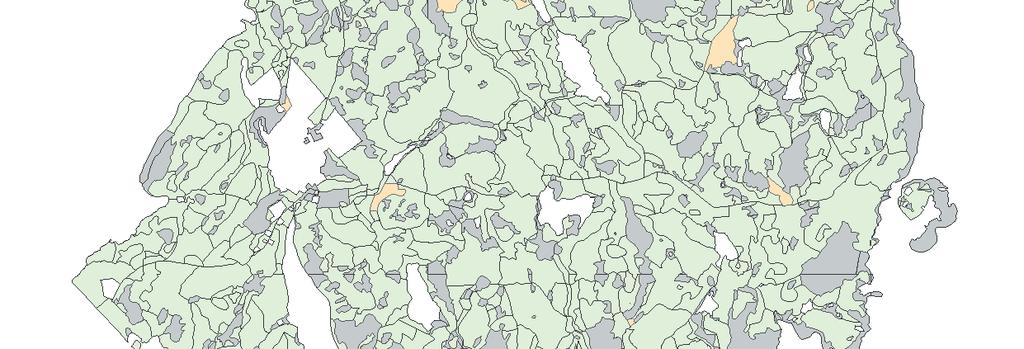 Naturvärdesträd Ekoparksplan Hornslandet av asp