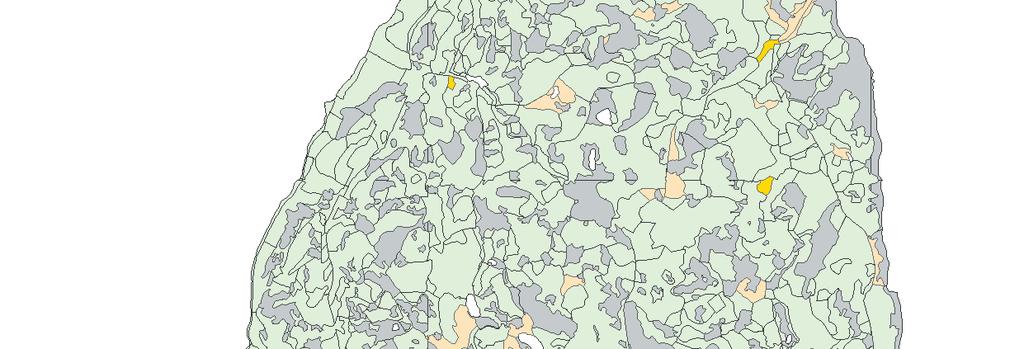 Naturvärdesträd av asp Ekopark Hornslandet 1:55