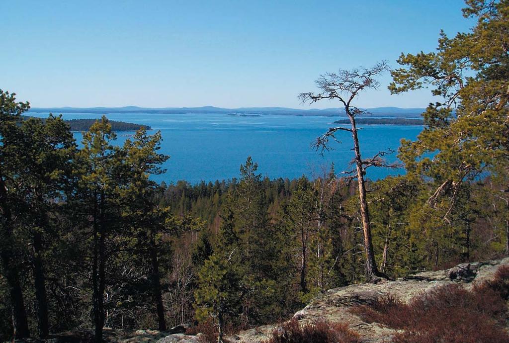 6. Upplevelsevärden i Ekopark Hornslandet Ekopark Hornslandets upplevelsevärden Hornslandet är, med avseende på förutsättningar och nyttjande, ett av länets viktigaste områden för rörligt friluftsliv.