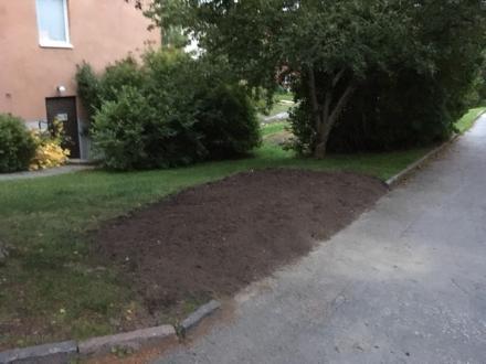 Föreläsning om kost och viktnedgång David Björk, som är Diplomerad Friskvårds-konsult håller i denna föreläsning och han har även gjort en viktresa själv genom att gå från 110 kg till 75 kg!