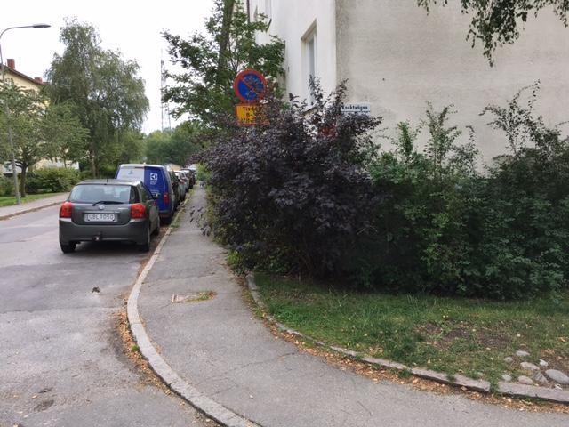 För att använda stora delar av sin kropp som verktyg kan Du testa att under en timme köra s.k. cirkelträning. Alla som deltar gör det efter bästa förmåga, vad man kan, vill och orkar.
