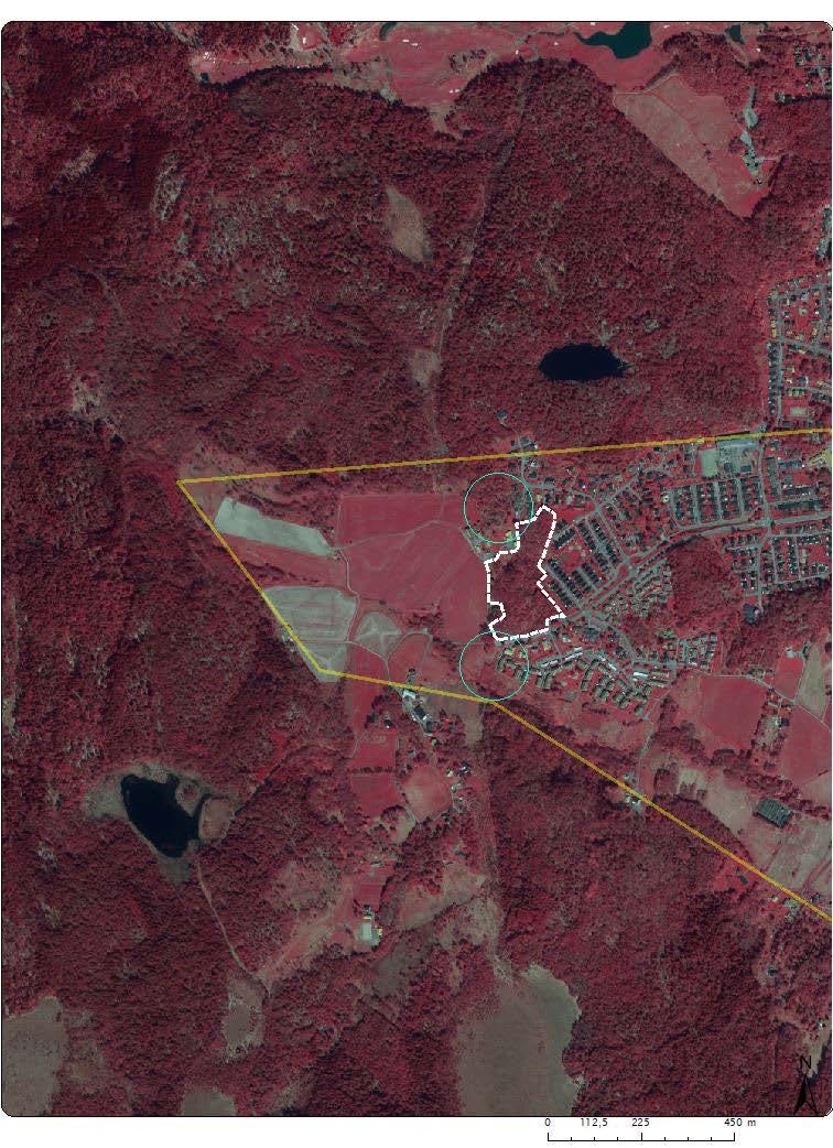 landskapsekologiskt perspektiv bedöms vara bevarandet av en korridor i nord-sydlig riktning av karaktären ekskog med förekomst av död ved och gamla träd samt arter knutna till fuktiga branter.