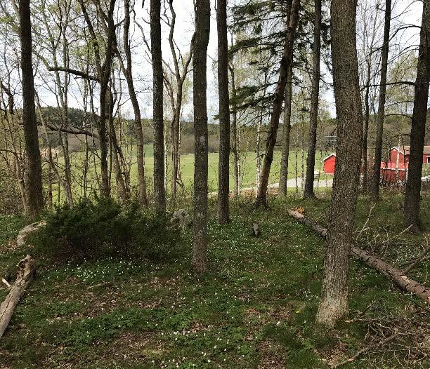 ett ökat bostadsbyggande i kollektivtrafik läge där service och teknisk infrastruktur finns att tillgå samtidigt som krav ställs på en anpassning av tillkommande bebyggelse till landskapet och