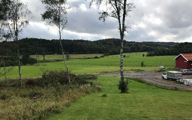 Den västra sidan, sluttningen ned mot Långåkersvägen, är något flackare och med en lätt sluttande yta närmst vägen och med en relativt jämn stigning upp mot en platå.
