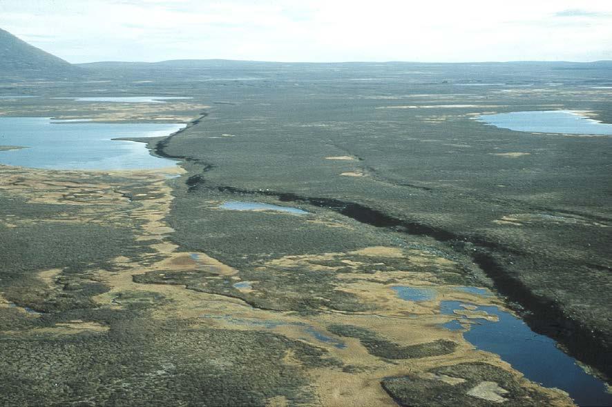 Post Glacial Faults I slutet av senaste istiden skedde jordbävningar med magnitud upp mot 8 i norra Sverige.