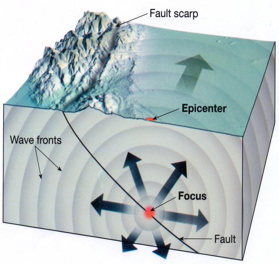 Fokus och Epicentrum Initialt spricker jordskorpan i en punkt längs förkastningsplanet som kallas fokus eller hypocentrum. Den vertikala projektionen av fokus på jordytan kallas epicentrum.