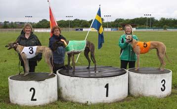 Det blev inte så många hundar anmälda, så man behövde bara köra semifinaler i Puppy och Tikarnas 320 m, det gjorde man som fyra traillopp den 16/6, det var fyra hundar i varje trail, så två blev