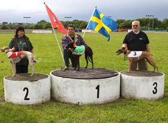 Hanar 320 m. Fr. v. tvåan Ah Sure Duffy, Ivo Widziolek, Tjeckoslovakien,18.57, segraren Speedy Scooby, Mazhar Iqbal Khan, Danmark, 18.19, trea Riff, Heidi Föhns, Holland, 18.71. Whippet 320 m. Fr. v. tvåan Magmatic Ocean, 20.
