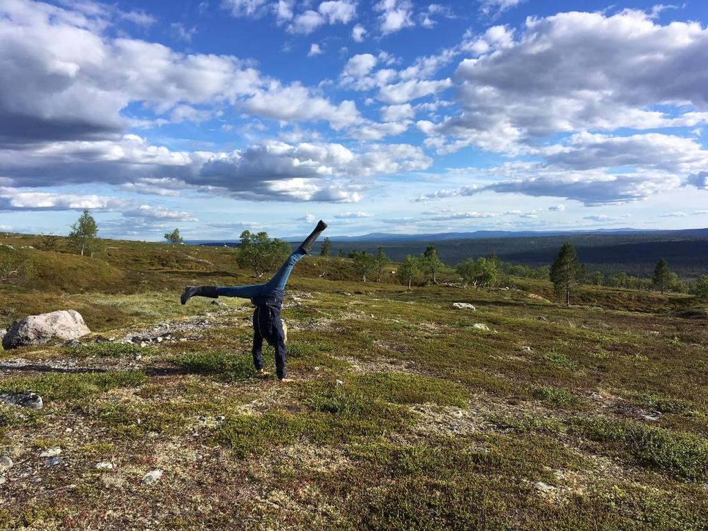 Fjällresan till Grövelsjön i juni 2017. Foto: Linn Austli Bilagor 1. Verksamhetsberättelse 2. Ekonomi 3.