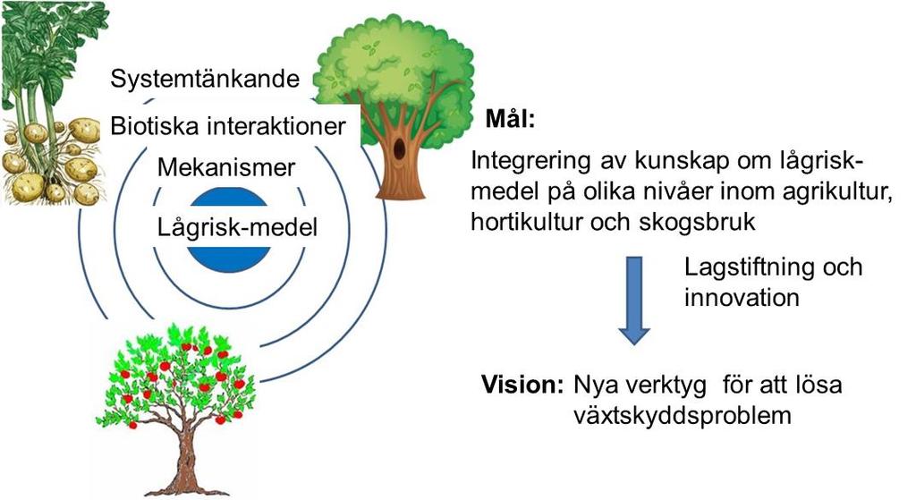 Delrapport från fokusgruppen om lågrisk-medel i växtskyddet Åsa Lankinen, Erland Liljeroth, Velemir Ninkovic 2 & Johanna Witzell SLU Alnarp; 2 SLU Uppsala E-post: asa.lankinen@slu.