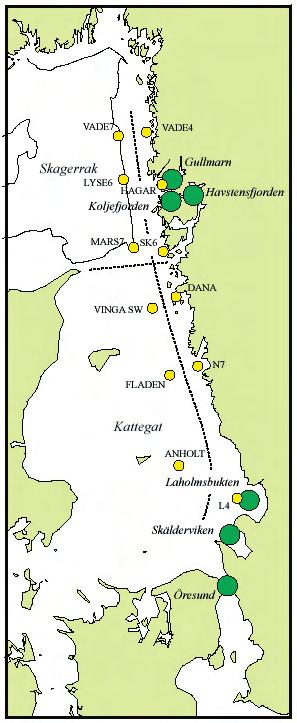 Marine Monitoring AB vid Kristineberg, Fiskebäckskil, 2006 Sammanfattning På uppdrag av Naturvårdsverket, Länsstyrelsen i Västra Götaland och Bohuskustens Vattenvårdsförbund har provtagningar utförts