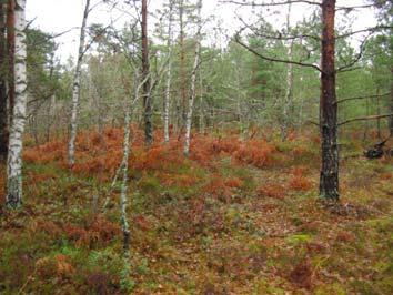 naturinventering är gjord inför planarbetet.