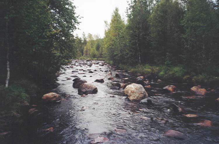 De avfiskade ytorna var 225 m 2 år 2004 och 401 m 2 år 2008. Figur 2. En sträcka av Röälven före och efter restaurering Grundan (Fig.1) är belägen under höga kustlinjen och är ca 1,1 mil lång.