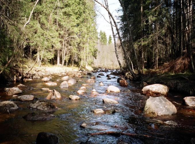 En lekbotten har anlagts strax uppströms lokalen. De avfiskade ytorna var 144 m 2 år 2002 och172 m 2 år 2009. Figur 3.