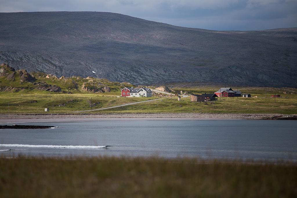 DAG-TILL-DAG PROGRAM Dag 1: Resan startar på Kirkenes flygplats. En kort skådartur i närområdet under eftermiddagen. Natt i Kirkenes.