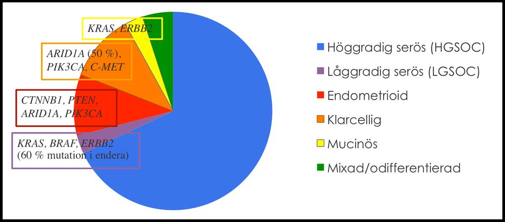 P53 (obligat) BRCA pathway (50 %)