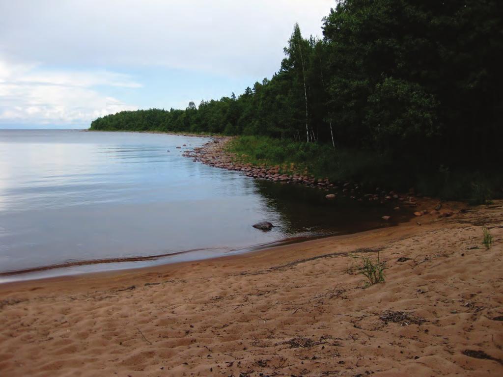 skulle innebära 246 ha. Ska vi komma upp i dessa ytor, behöver restaureringsarbete ske i samband med att en mer naturanpassad reglering av sjön börjar användas.