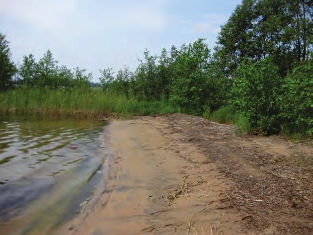 Öppen strandmiljö runt Vänern - värden,