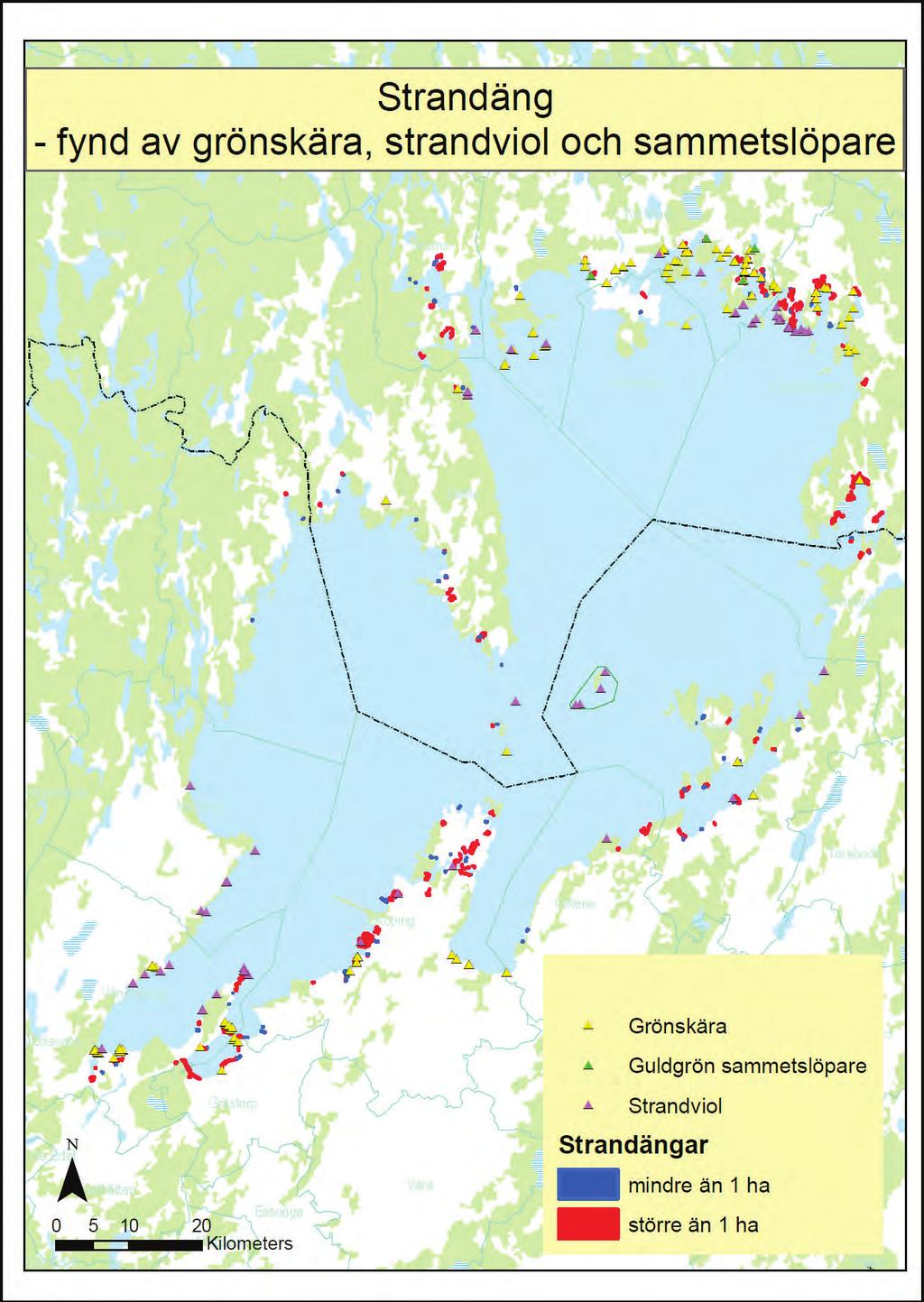 8. Strandäng fynd av grönskära,