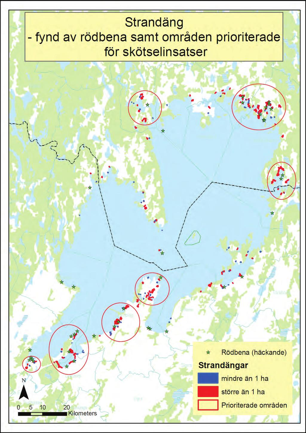 10. Strandäng fynd av häckande rödbena
