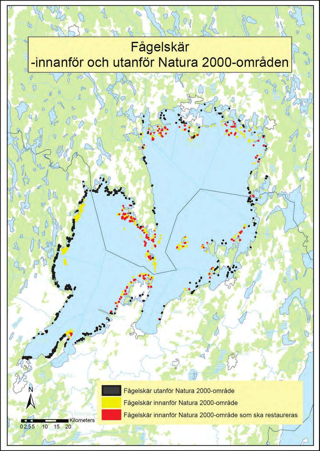 11. Fågelskär innanför och utanför Natura