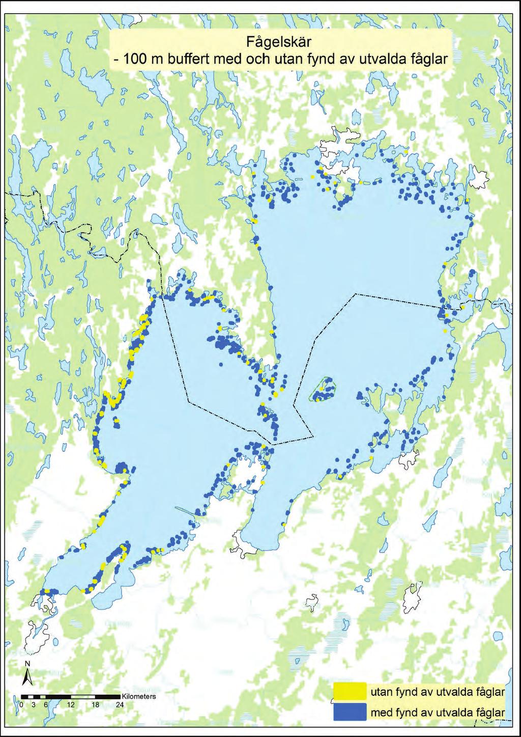 12. Fågelskär 100 meters buffert,