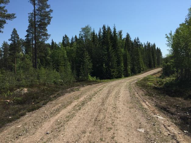 com/site/venjanfiske/ Skogsmark På fastigheten har det upprättats en skogsbruksplan i maj 2018 av Fredrik Mikaelsson, Skogsbyrågruppen.