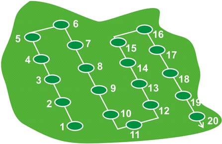 Inventeringsmetodik Linjetaxering med 20 provytor på varje plantering Provytestorlek 20 m 2 Registrering