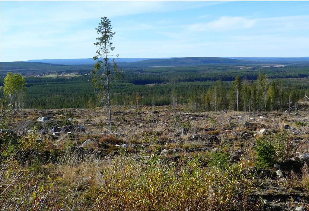 humusblandad mineraljord 3 : mineraljord Återinventering Återinventeringar av två år gamla planteringar