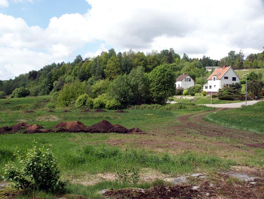 Fig. 11. Område 1 sett mot väster.