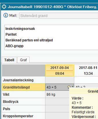 12 Man kan skriva en Fritext/kommentar till varje enskilt värde i tabellen i fritextrutan.