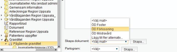 8 4. Översiktsdokument (ÖD) Översiktsdokumenten visar valda uppgifter från journalen. Det är alltid det senast inskrivna värdet på sökordet som visas.