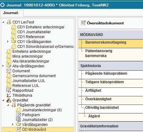 Det finns idag tre olika Översiktsdokument: x ÖD Mödravård x ÖD Foster (används endast i specialfall) x ÖD Förlossning 4.