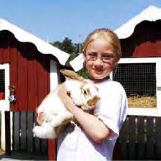 Hållbarhet och slitagetålighet är viktiga aspekter i sammanhanget.
