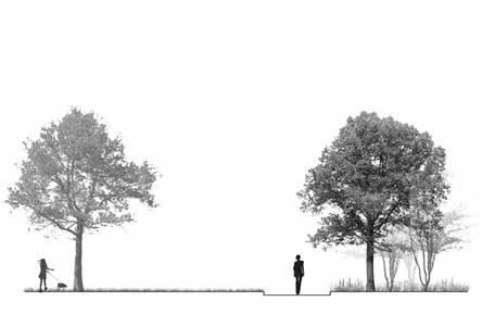 Trygghetsstärkande vegetationshantering Hantering av vegetation är ett centralt tema när det gäller trygghet i stadsmiljöer.