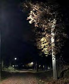Därför bör man undvika starkt och jämnt ljus eftersom det skapar statiska platser utan trivsamhet. Belysningen ska däremot inte försöka efterlikna dagsljuset.