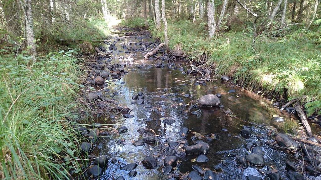 B Branta vattendrag med sten och block samt turbulent flöde Bp Vattendrag med plan botten - Består av sten, block och grus och saknar den rytmiska ordningen som finns hos Bt-typen.