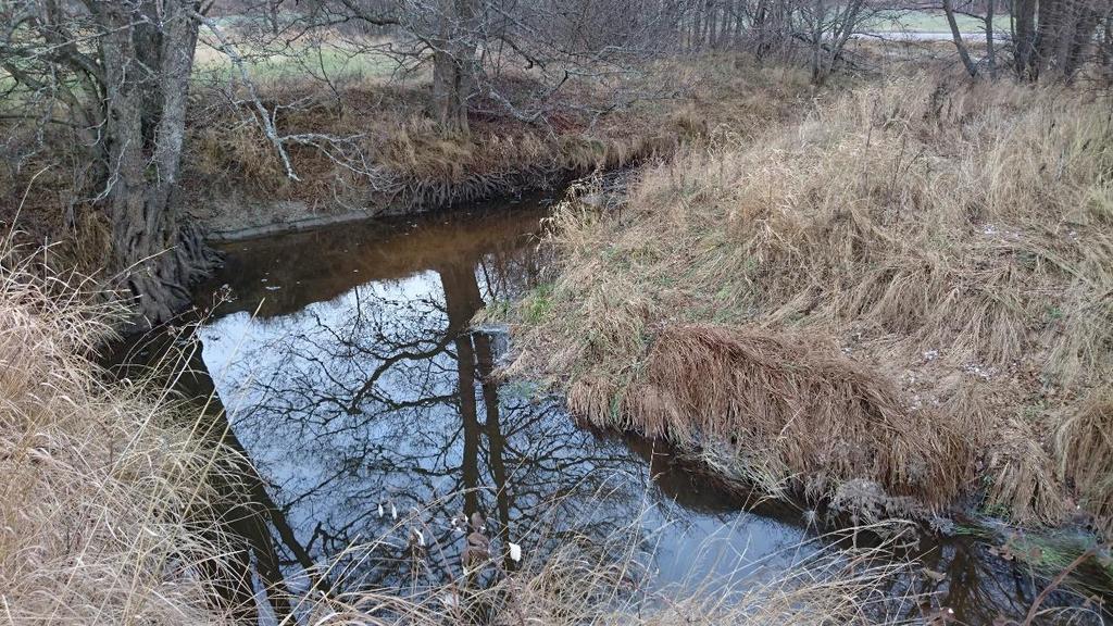 Fö Överfördjupade vattendrag i finkorniga sediment - Som regel E-vattendrag som