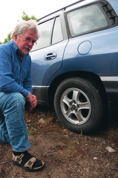 DUNÖRTER I SKÅNE fodervallört Symphytum asperum studerades också och ett belägg togs. Färden gick vidare mot norr och våfflor med hjortronsylt intogs i Hässleholm.