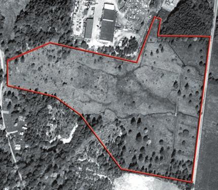 Photographs of Nohlmarken illustrating the transformation from a grazed open area in 1955 via the overgrown phase to the restored reserve in 2000.