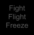Målinriktad Rädsla Ilska Fight Flight Freeze B Hot Lugn