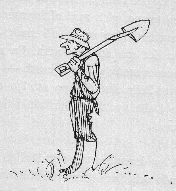 Denna charmiga teckning finns i Anton Sörlins bok.