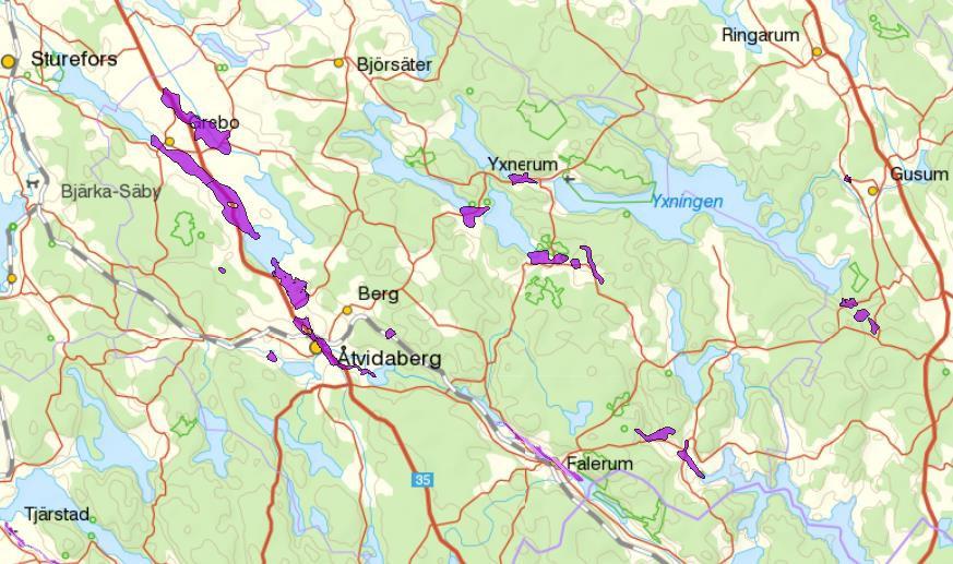 Grunda våtmarker med mycket tillgång på vatten, ljus, värme, syre och närsalter hör till de mest produktiva miljöerna och de fungerar som naturens egna reningsverk, dessutom hyser våtmarkerna en