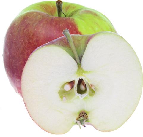 Collina är motståndskraftig mot vissa sjukdomar som drabbar äppelträd, därför är den vanlig i ekologiska fruktodlingar. september.