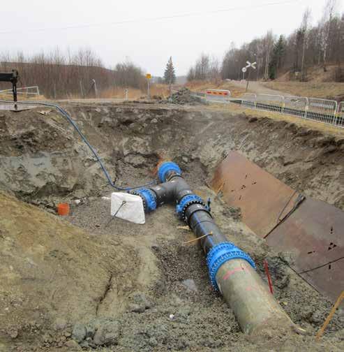 2 Beskrivning av projektet, dess bakgrund, ändamål och projektmål 2.