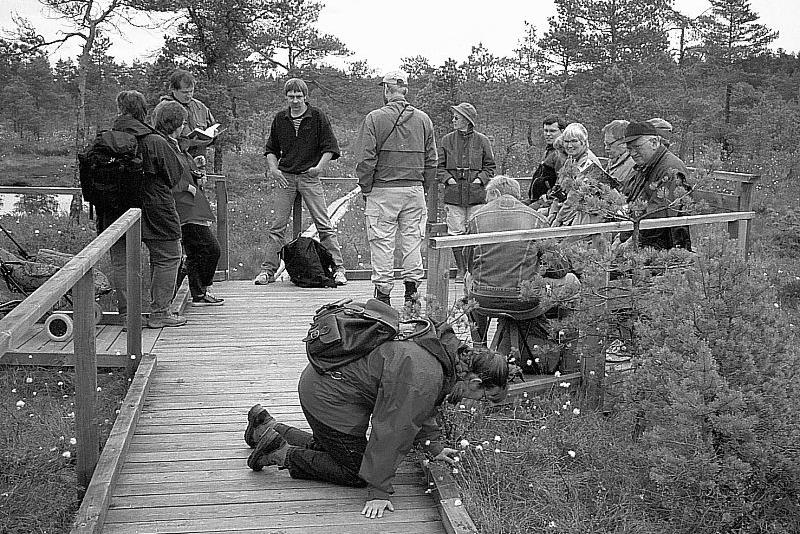 Ett förhoppningsfullt gäng på Knutshöjdsmossen.