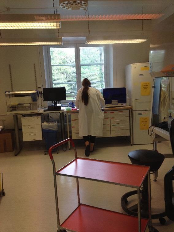 kortärmad bomullströja eller linne är